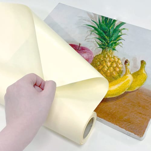 Holbein Anti-Adhesive Screen Protector, Kutzcarne 2, 67894