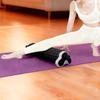 Black Foam Roller, Height Adjustable Yoga Pole, EVA Fascia Roller for Muscle Relaxation (Black)