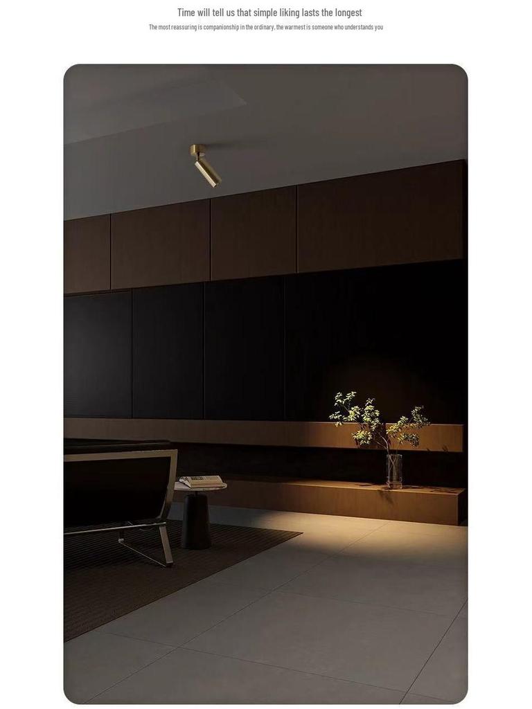 Surface Mounted Adjustable Mid-Century LED Wall Spotlight