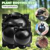 Botany Plant Rooting Root Device Pressure Propagation Ball Box Grafting Nursery Box Propagation Jardinage Plant Root Pot