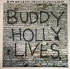 LP Пластинка BUDDY HOLLY & THE CRICKETS - 20 Золотых Хитов EMTV8 MCA Records 1977 UK Рок Б/У