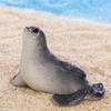 Adorable Resin Sea Lion Figurines Ocean Beach Diy Decoration Cute Miniature Desktop Ornaments
