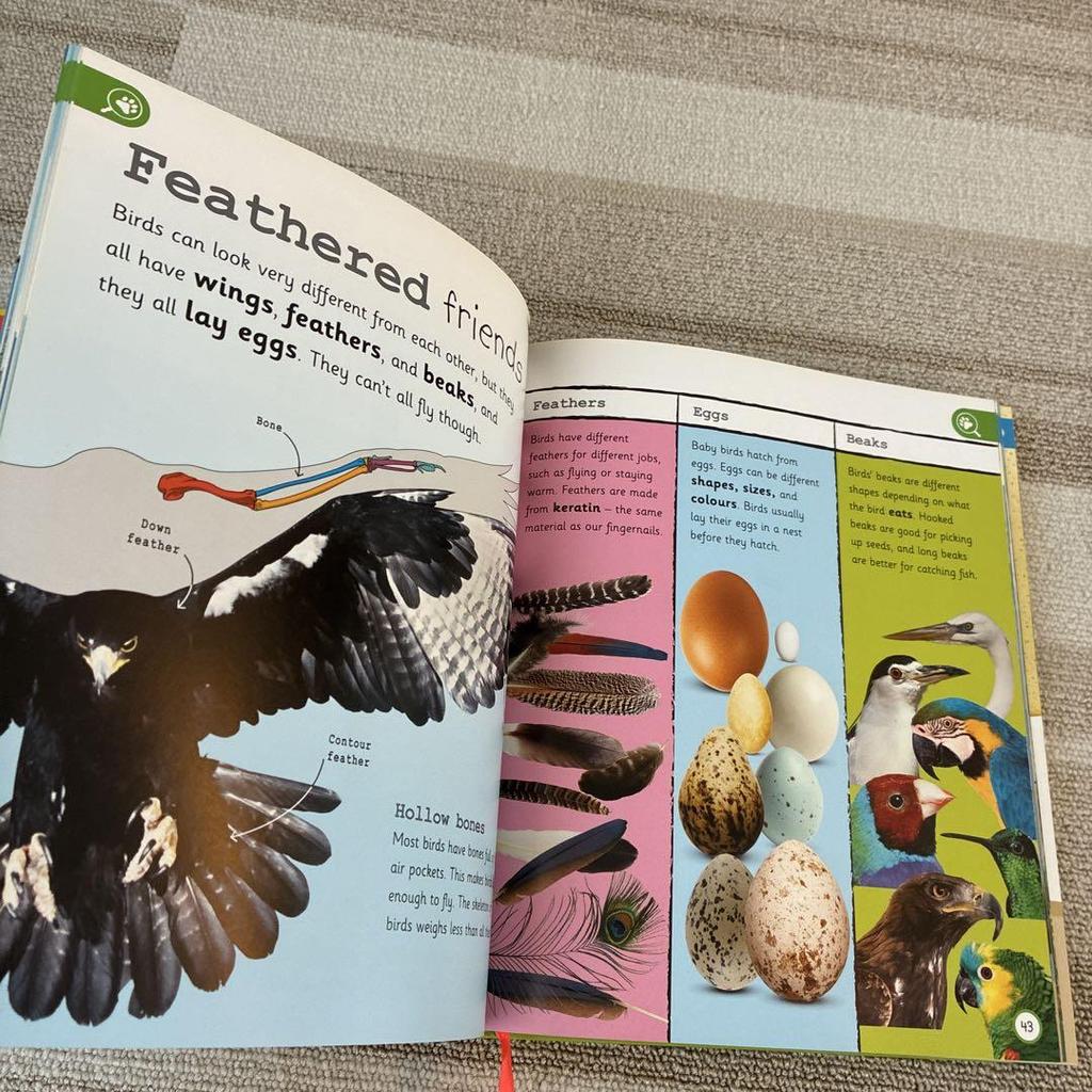 [USED] My Encyclopedia of Very IMPORTANTANIMALS