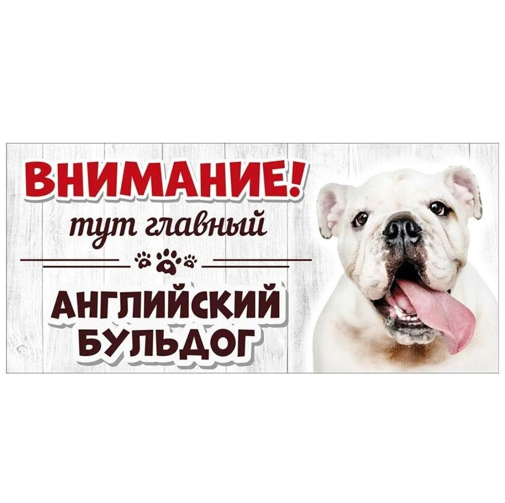Злой Шпиц Померанский Знак, Металлическая Табличка на Дверь Забора 30x15см