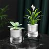 Lazy Flower Pot Automatic Water-Absorbing Flowerpot Transparent Plastic Self Watering Planter Plants Nursery Pot Garden Decor