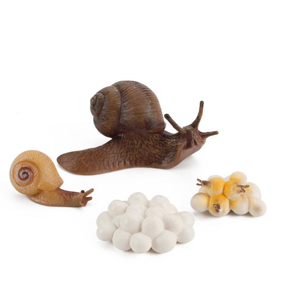 Модель игрушки Образовательный дизайн Раннее моделирование Пластиковые животные Цикл роста Миниатюрный цикл обучения животных