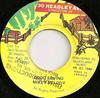 7-дюймовая пластинка MIKEY MELODY Good Loving NONE 30 Headley Ave. 1990 Ямайка Регги Ска Даб Б/у