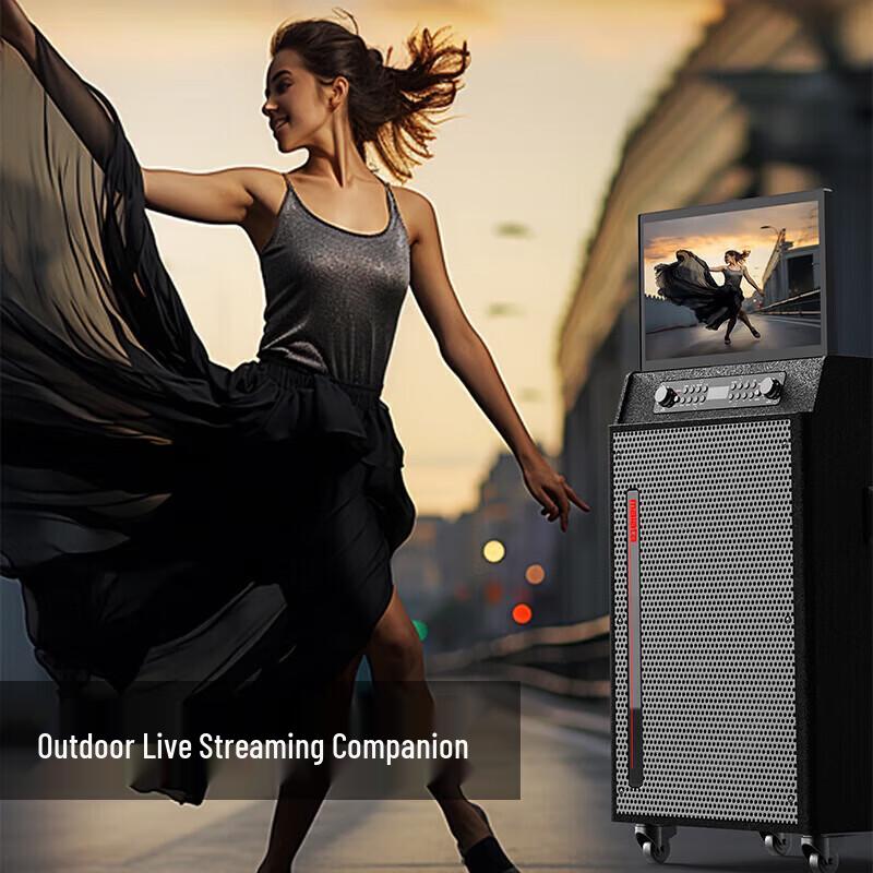 Malata M+9522 Portable KTV Speaker System with Display (CN version)
