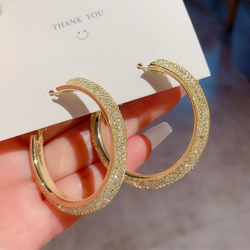 Exaggerated Mesh Crystal Zircon Geometric Big Earrings S Silver Needle Circle Earrings Earrings