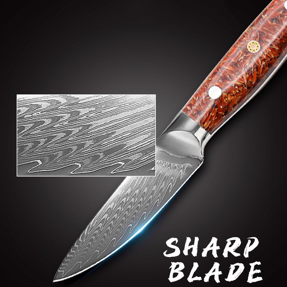 67 Layers Damascus Steel Paring Knife Fruit Vegetables Knife Sharp Cleaver Fishing Knife Kitchen Cooking Tools