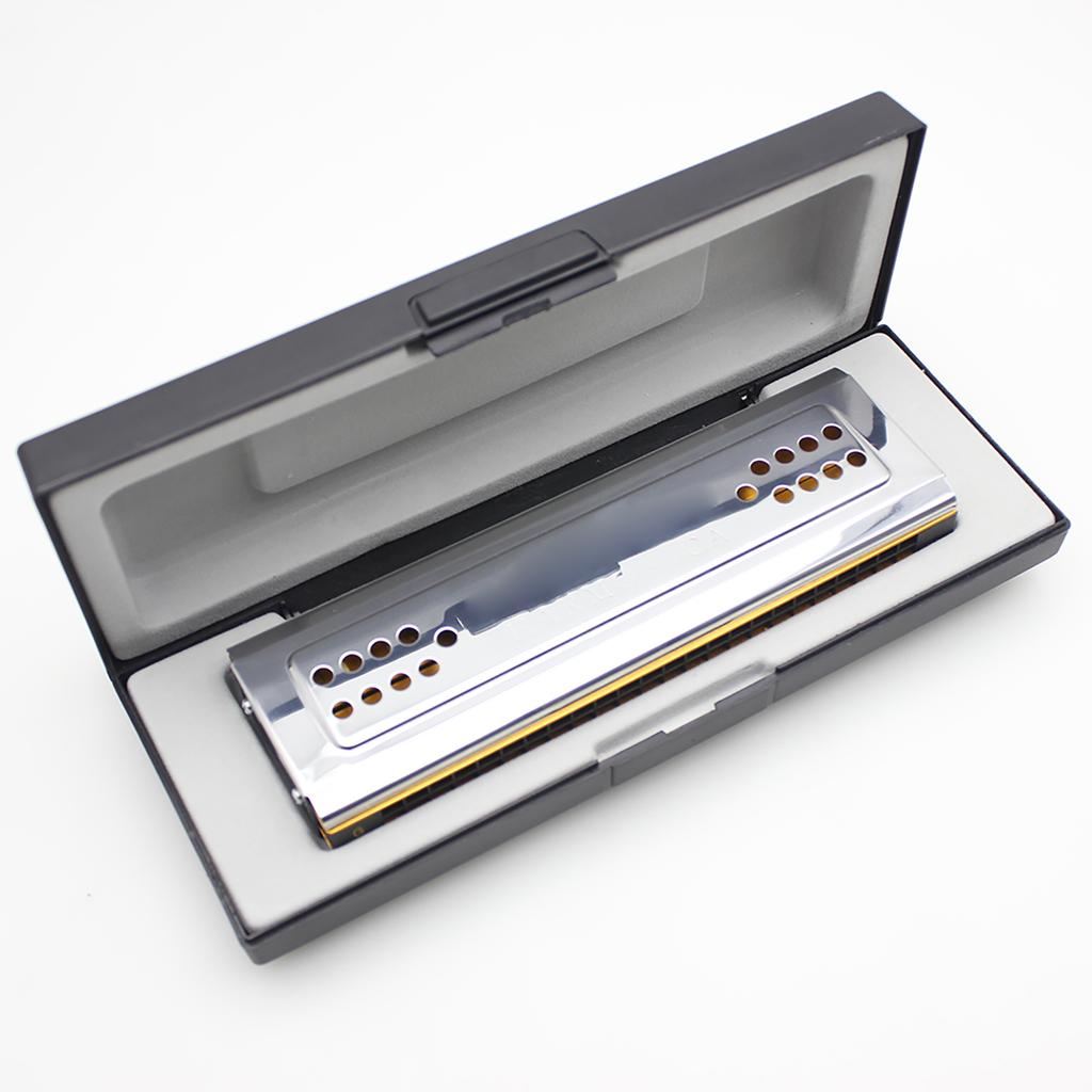 Двусторонняя тремоло-гармоника Swan 2 в 1, губная гармошка, дуральная, тональности C и G, 24 двойных отверстия, язычковый духовой инструмент с мягкой подкладкой