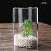 Transparent Glass Hydroponic Vase Modern Small Cylinder Flower Centerpiece Vases Use for Floral Wedding Home Decoration