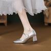 Silver Thick Heel Mary Jane Shoes Female French Square Head Temperament High Heels Fairy Style Word Belt Single Shoes Spring New