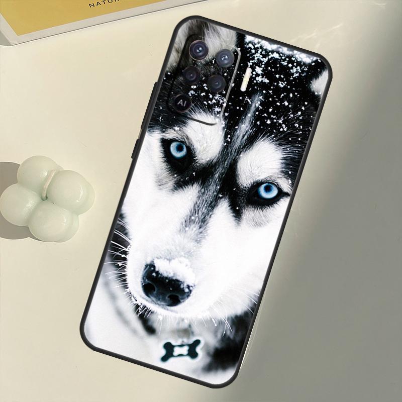 Чехол с изображением милого щенка аляскинского хаски для OPPO A15 A74 A54 A94 A52 A72 A31 A53 A53S A5 A9 2020 A3S A5S A83 A91 A93