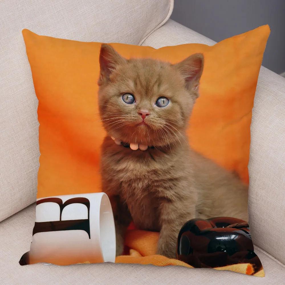 Русская голубая Британская короткошерстная Наволочка Декор Милый кот Домашнее животное Животное Наволочка Мягкий плюшевый Чехол для подушки для машины Дивана Дома