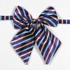 Женский галстук-бабочка - Цветочный и полосатый плед, аксессуар для школьной формы в корейском и японском стиле