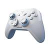 Direwolf Wireless Gaming Controller Support for