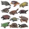 Amphibious Turtle Figurine Set: Chinese Softshell, Alligator Snapping, Map Turtle, Red-Eared Slider Models.