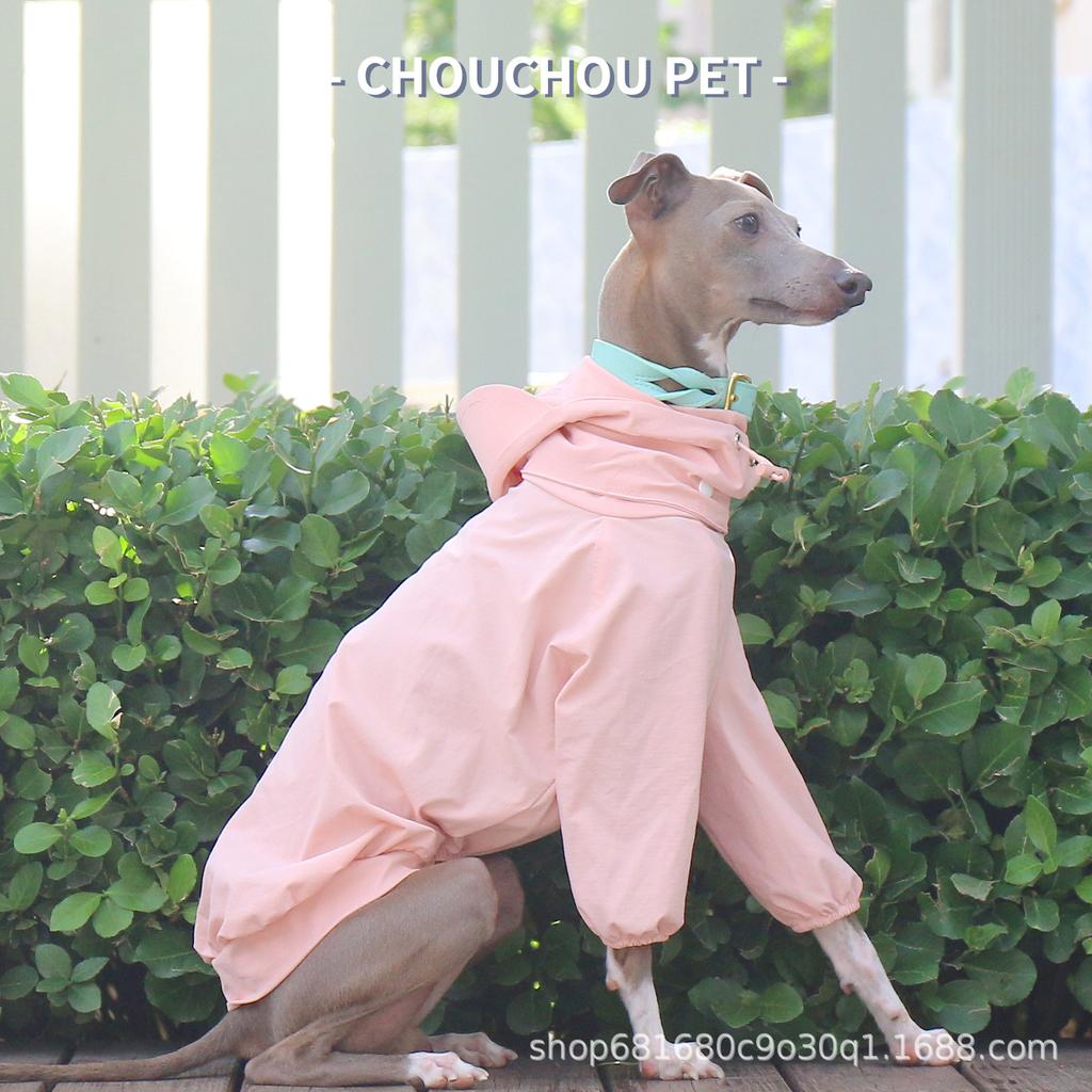 Small Greyhound Whippet Summer Casual Style Elastic Quick-Dry Hooded Two-Piece Suit Detachable Hat Waterproof Raincoat Stock
