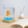 Стеклянный Настольный Аквариум Высокой Прозрачности Экологичный Аквариум Аквариум для Петушков Настольное Украшение