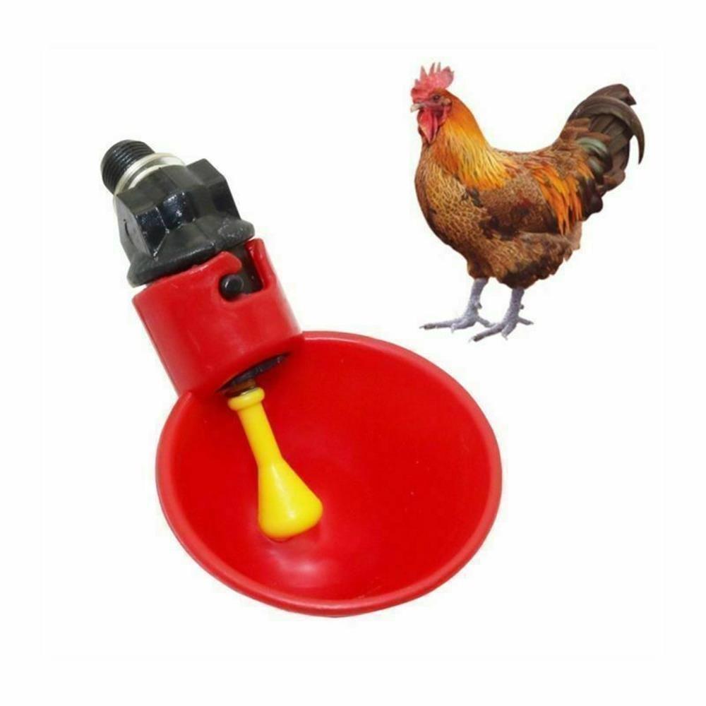 Chicken Coop Feed Quail Plastic Automatic Drinker Plastic Chicken Hen Poultry Water Drinking Cups