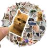 10/50PCS Cat MEME Funny Animals Stickers Vintage Toy DIY Kids Notebook Luggage Motorcycle Laptop Refrigerator Decals Graffiti