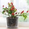 Модные прозрачные горшки для рассады, круглые/квадратные, с дренажными отверстиями, горшок для посадки, цветочный горшок