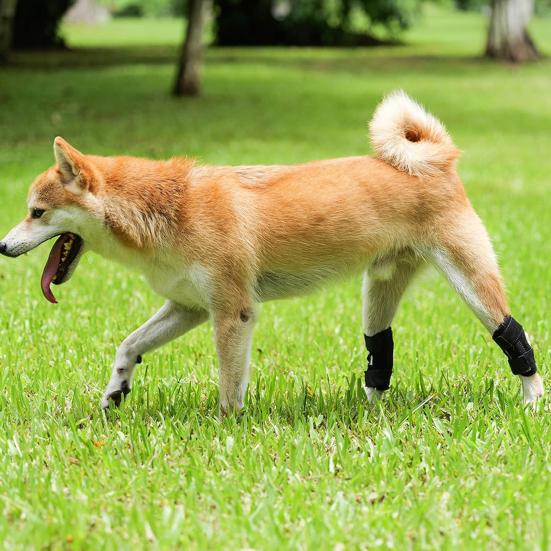 Бандаж для ног Yousheng Dog для заднего скакательного сустава, поддержка задней ноги собаки, компрессионный бандаж на лодыжку для защиты от растяжений, травм передней крестообразной связки, артрита