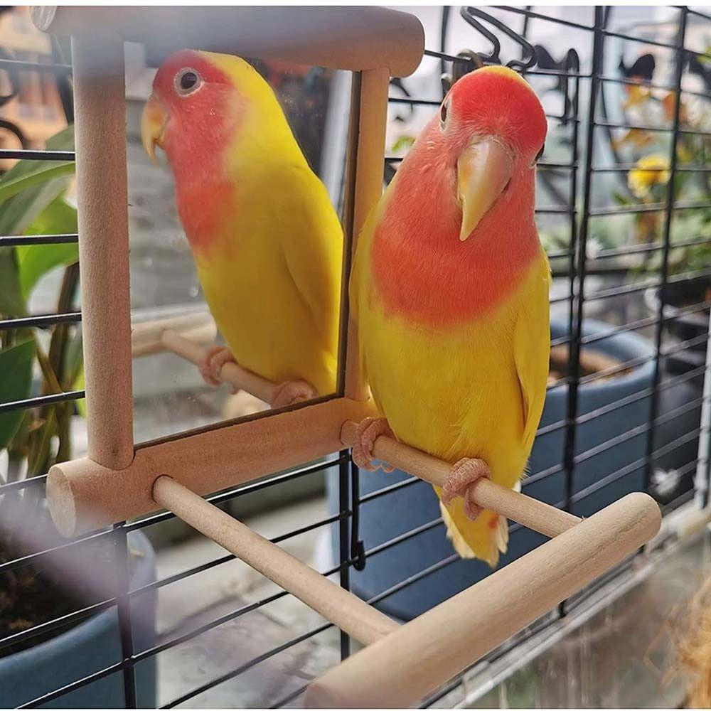 Parrot Parakeets Cockatiel Mirror Stand Bird  Supplies Parrot Standing Swing Bird Perch Mirror Toy
