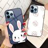 Cute Rabbit Animal Glass Case For Iphone 13 14 12 Pro Max Mini Xs Xr X Cover For Iphone 7 8 6s Plus Se 2022 11 Protection Shell