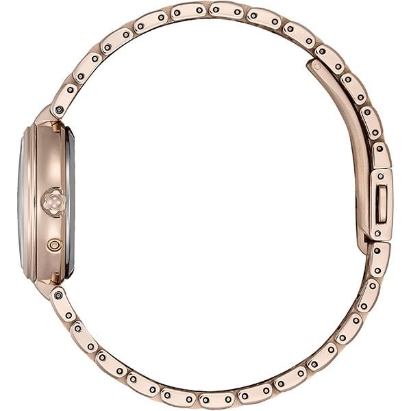 Citizen EE1026-71D ( Watch EXCEED Solar-powered Eco-Drive Radio-controlled Titania Happy Flight)