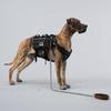 JXK Фигурка собаки Немецкий дог Фигурка собаки Животное Статуэтка Миниатюрная фигурка собаки Модель из смолы Игрушка Подарок для любителей собак Окрашенный готовый продукт