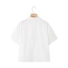 Fashion Style 2024 Autumn New Women's Cotton White Short Sleeve Lapel French Shirt 8181002