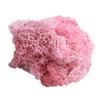 L&B Artificial Plant Preserved Flower Reindeer Moss DIY Craft Garden Home Decor