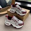 Thick-soled Heightening Silver Dad Shoes Women's 2025 New Spring and Autumn Small Casual Sports Women's Shoes