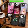 D-DOJA Чехол для телефона с кошкой для iPhone17,16,15,14,13,12,11 Plus,Pro Магнитный с беспроводной зарядкой Magsafe