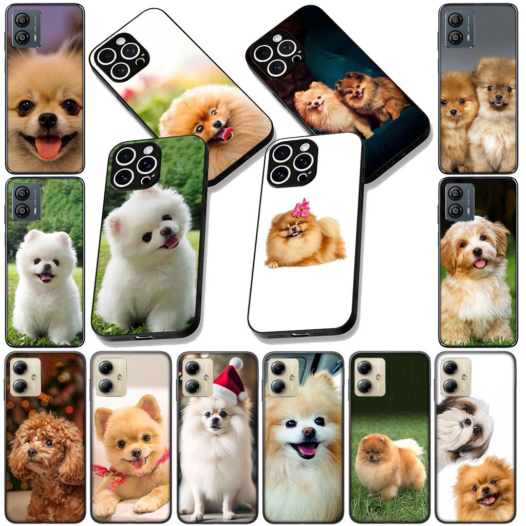 Soft Cover for Samsung Galaxy S22 S21 S20 FE Ultra Plus A35 A36 A55 A37 A33 A34 A57 Coque Phone Case Pomeranian Poodle Dog