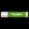 Vaseline Aloe Nourishing Lip Balm