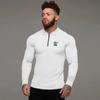 Muscleguys Just Gym Printed Bodybuilding Polo Shirts Men Slim Fit Long Sleeve Fitness Autumn Casual Comfortable T-shirts