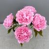 5 Голов Многоцветный Искусственный Цветок Пион Пион Свадебные Букеты Реалистичные Цветы Домашнее Украшение