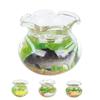 4pcs 1:12 Scale Miniature Glass Goldfish Bowl DIY Fish Bowl Glass Fish Tank Dollhouse