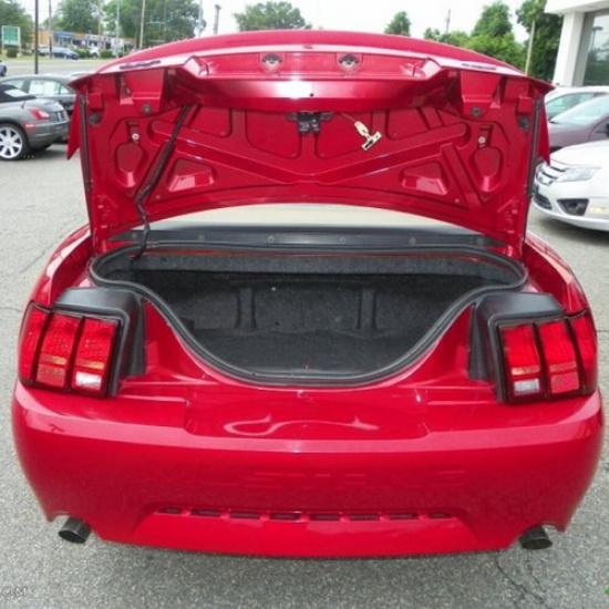 2x For 1994-2004 Ford Mustang Rear Trunk Tailgate Lift Support Gas Shock Struts