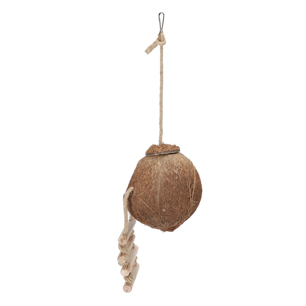 Подвесной домик из натурального кокоса для попугаев с лестницей, клетка для хомяков и качели, игрушка-гнездо из волосатого кокоса