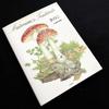 [Б/У] Коллекция искусства Мичико Кобаяси «Грибы» 1993 Первое издание Yama-to-Keikoku-sha