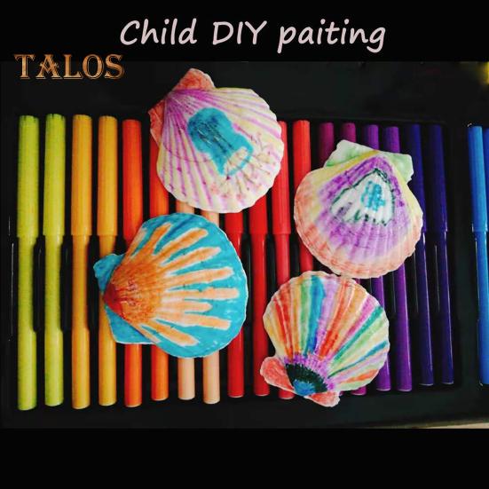 10Pcs Natural Scallop Shells DIY Crafts Theme Party Decor Bright White Seashells Jewelry Christmas Decoration