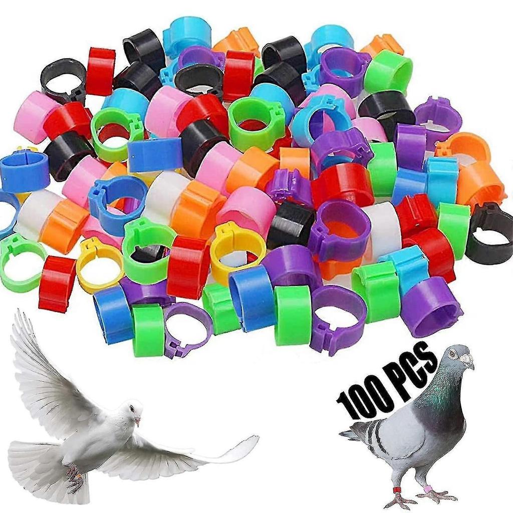 100pcs Bird Foot Rings Plastic Pigeon Identification Ring 8mm Bird Foot Rings For Identification