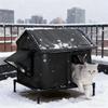 Большой водонепроницаемый домик-укрытие для кошек для улицы, защита для бездомных животных, складной каркас, палатка для питомца, погодоустойчивая лежанка для кошки, щенка