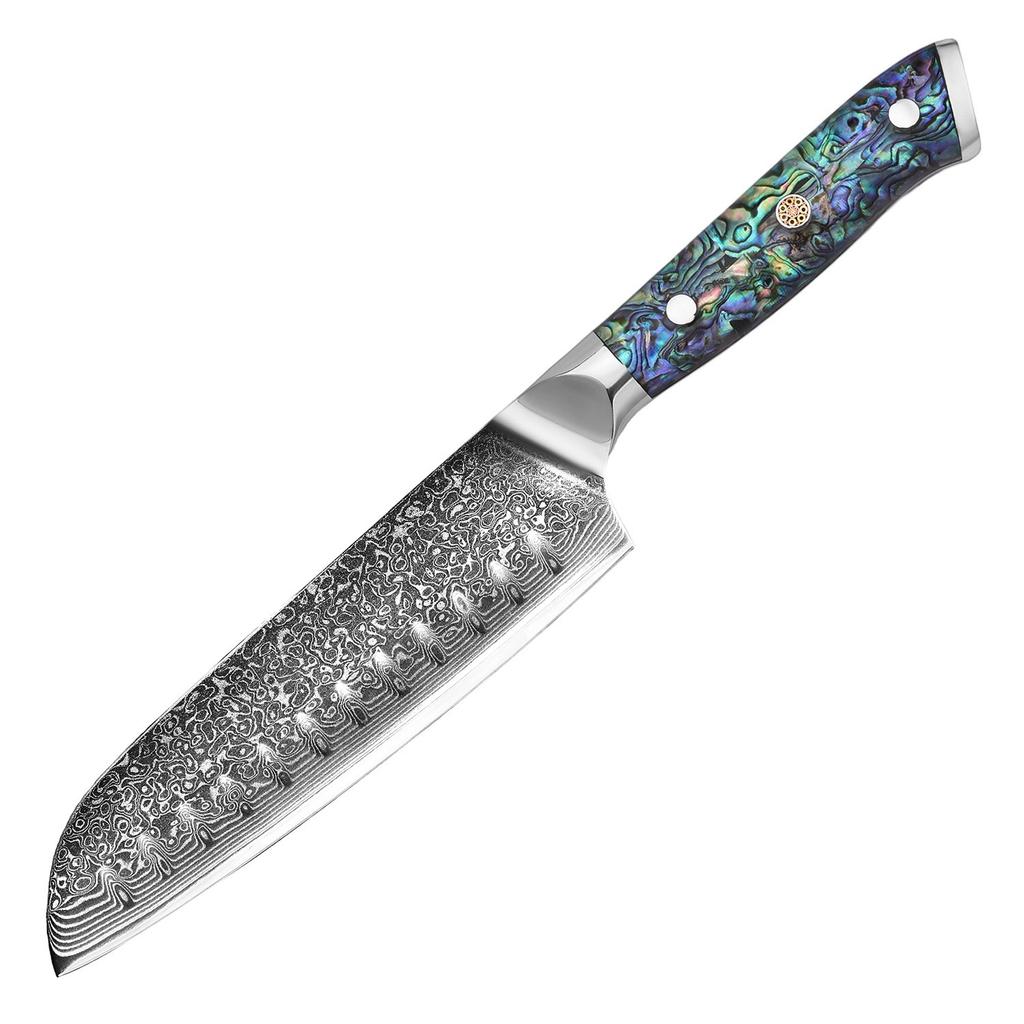 67-Layer Damascus Steel Kitchen Knife, 60-62 HRC High Hardness Sharp Slicing Knife, Vacuum Heat Treated Chef Knife for Fruit Vegetable Meat Prep