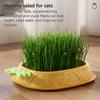 Pineapple Shape Cat Grass Planting Box Planting Hydroponics Box Soilless Hydroponic Cat Grass Case Cat Grass Planter Tray