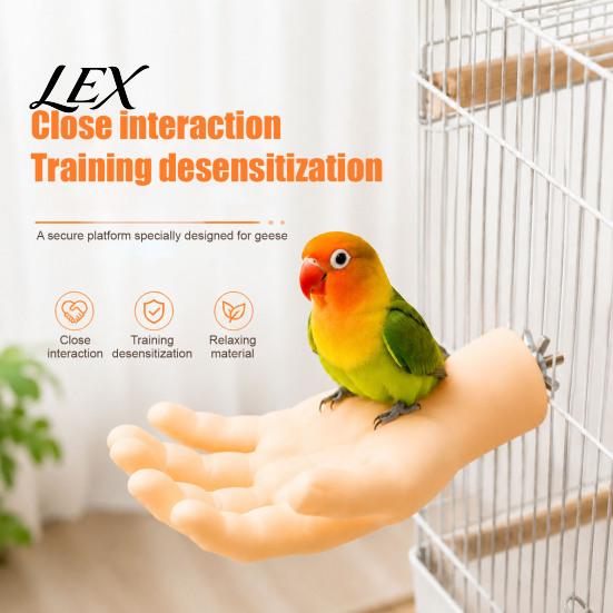 Hand Taming Bird Accessory Hand-Shaped Parrot Perch, Realistic Stand with Screw Fastener, Safe Training Tool Cage Perch for Budgie Cockatiels,